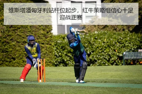 维斯塔潘匈牙利站杆位起步，红牛策略组信心十足迎战正赛